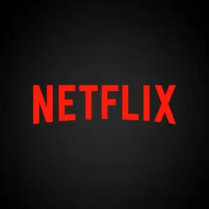 Netflix Premium Subscription